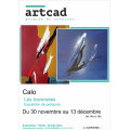 Les Traversées 2015